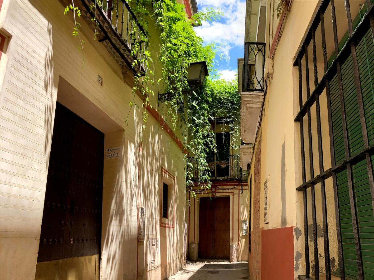 Acogedor Apt 8Pax 4Bdr 2Bth- Cozyhomesevilla2 Экстерьер фото