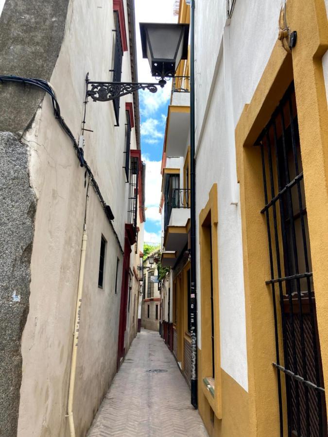 Acogedor Apt 8Pax 4Bdr 2Bth- Cozyhomesevilla2 Экстерьер фото